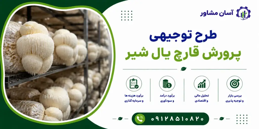 طرح پرورش قارچ یال شیر