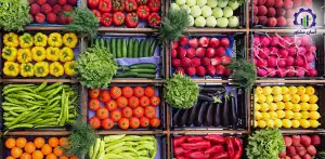 تحلیل بازار هدف برای صادرات محصولات کشاورزی