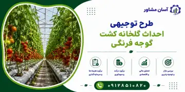 طرح احداث گلخانه کشت گوجه فرنگی
