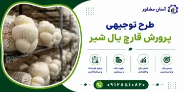 طرح پرورش قارچ یال شیر