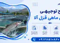 طرح پرورش ماهی قزل آلا