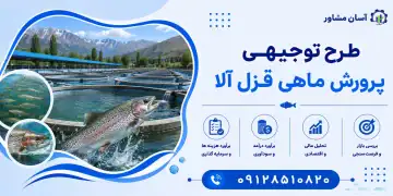 طرح پرورش ماهی قزل آلا