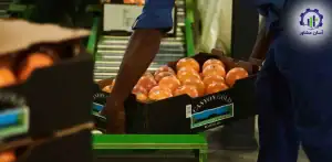 معیارهای کلیدی انتخاب بازار هدف