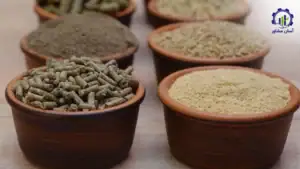 بررسی بازار داخلی و خارجی تولید خوراک دام