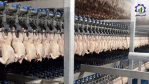 بررسی تجهیزات و تأسیسات احداث کشتارگاه صنعتی