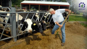 بررسی تجهیزات و تأسیسات فارم پرورش دام های سبک