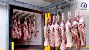 بررسی فرآیند تولید محصولات گوشتی در کشتارگاه صنعتی