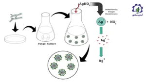 بررسی فرآیند تولید نانو ذرات نقره