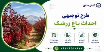 طرح احداث باغ زرشک