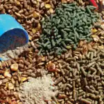 طرح توجیهی تولید خوراک دام