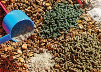 طرح توجیهی تولید خوراک دام