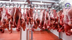 طرح توجیهی تولید محصولات گوشتی در کشتارگاه صنعتی