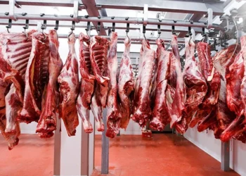 طرح توجیهی تولید محصولات گوشتی در کشتارگاه صنعتی