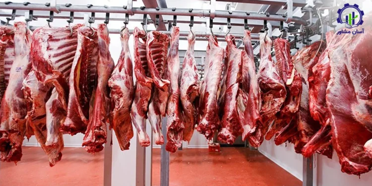 طرح توجیهی تولید محصولات گوشتی در کشتارگاه صنعتی