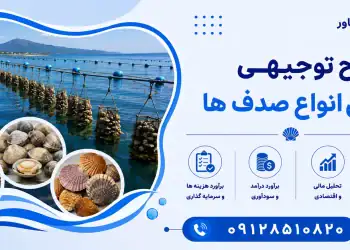 طرح پرورش انواع صدف ها