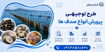 طرح پرورش انواع صدف ها