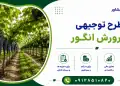 طرح پرورش انگور