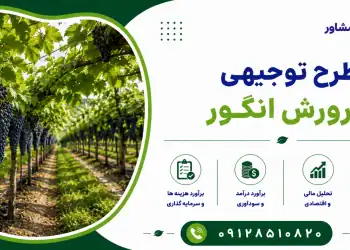 طرح پرورش انگور