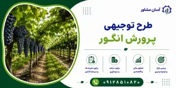 طرح پرورش انگور