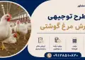 طرح پرورش مرغ گوشتی
