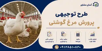 طرح پرورش مرغ گوشتی