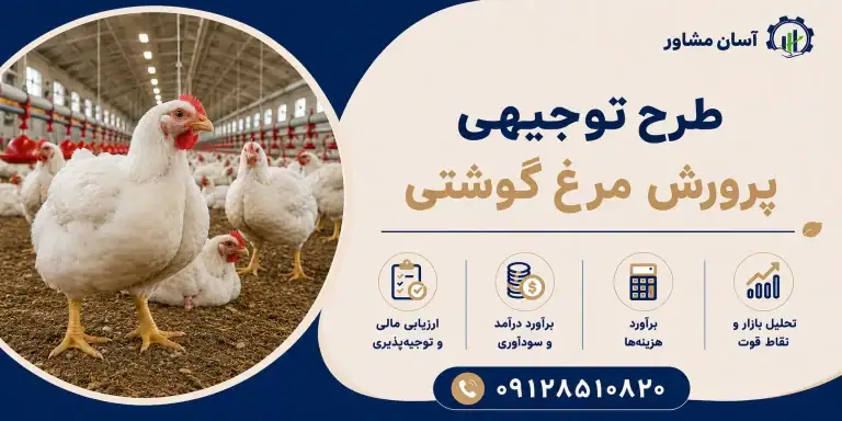 طرح پرورش مرغ گوشتی