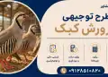 طرح پرورش کبک