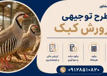 طرح پرورش کبک