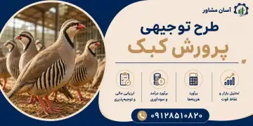 طرح پرورش کبک