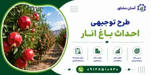 طرح احداث باغ انار