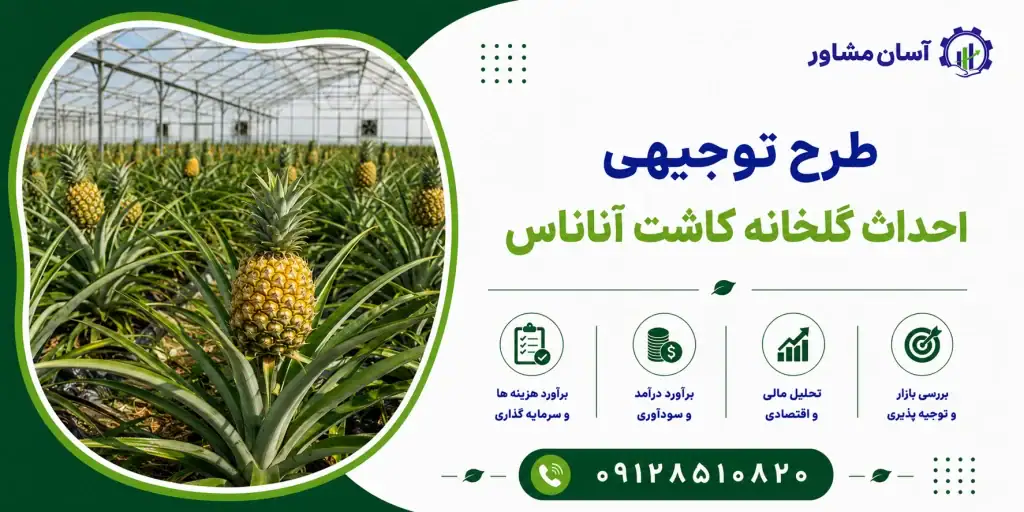 طرح احداث گلخانه کاشت آناناس