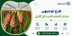 طرح احداث گلخانه کاشت گل گلایل
