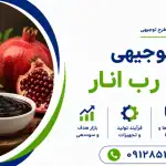 طرح تولید رب انار
