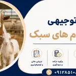طرح پرورش دام های سبک