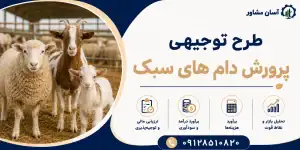 طرح پرورش دام های سبک
