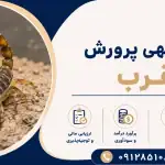 طرح پرورش عقرب