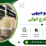 طرح پرورش قارچ انوکی