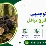 طرح پرورش قارچ ترافل