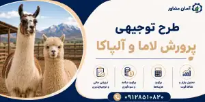 طرح پرورش لاما و آلپاکا