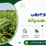 طرح پرورش هندوانه
