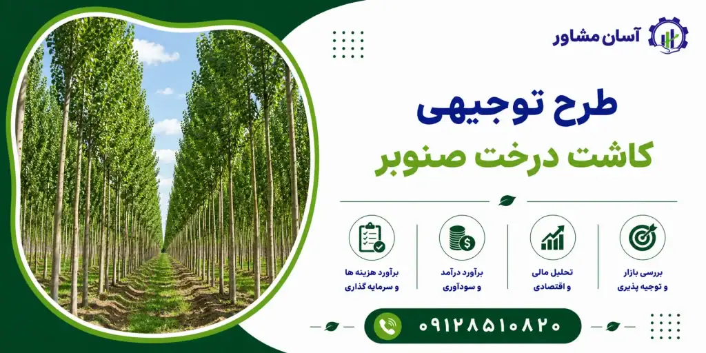 طرح کاشت درخت صنوبر