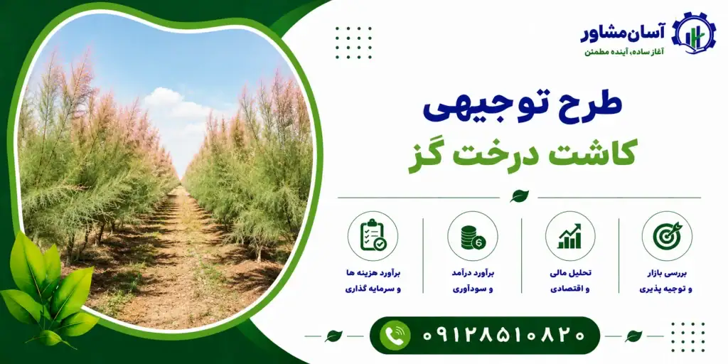 طرح کاشت درخت گز