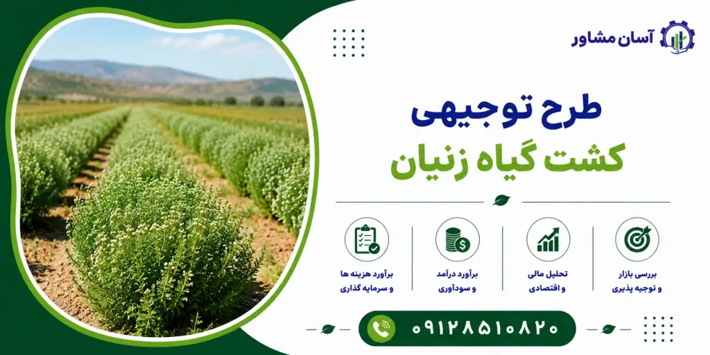 طرح کشت گیاه زنیان