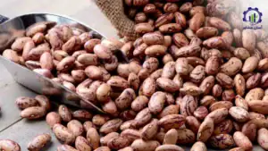 بررسی بازار داخلی و خارجی طرح احداث فارم کشت لوبیا چیتی