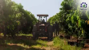 بررسی تجهیزات و تأسیسات احداث باغ انبه