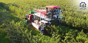 بررسی تجهیزات و تأسیسات احداث باغ میوه جمبو