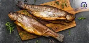 بررسی تجهیزات و تأسیسات خط تولید و فرآوری ماهی دودی