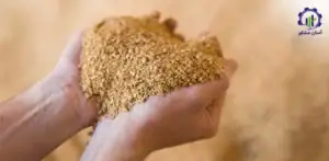 بررسی تجهیزات و تأسیسات خط تولید کنجاله سویا