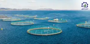 بررسی تجهیزات و تأسیسات فارم پرورش ماهی سوف سفید