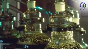 بررسی فرآیند تولید عرق گیاهی خرما